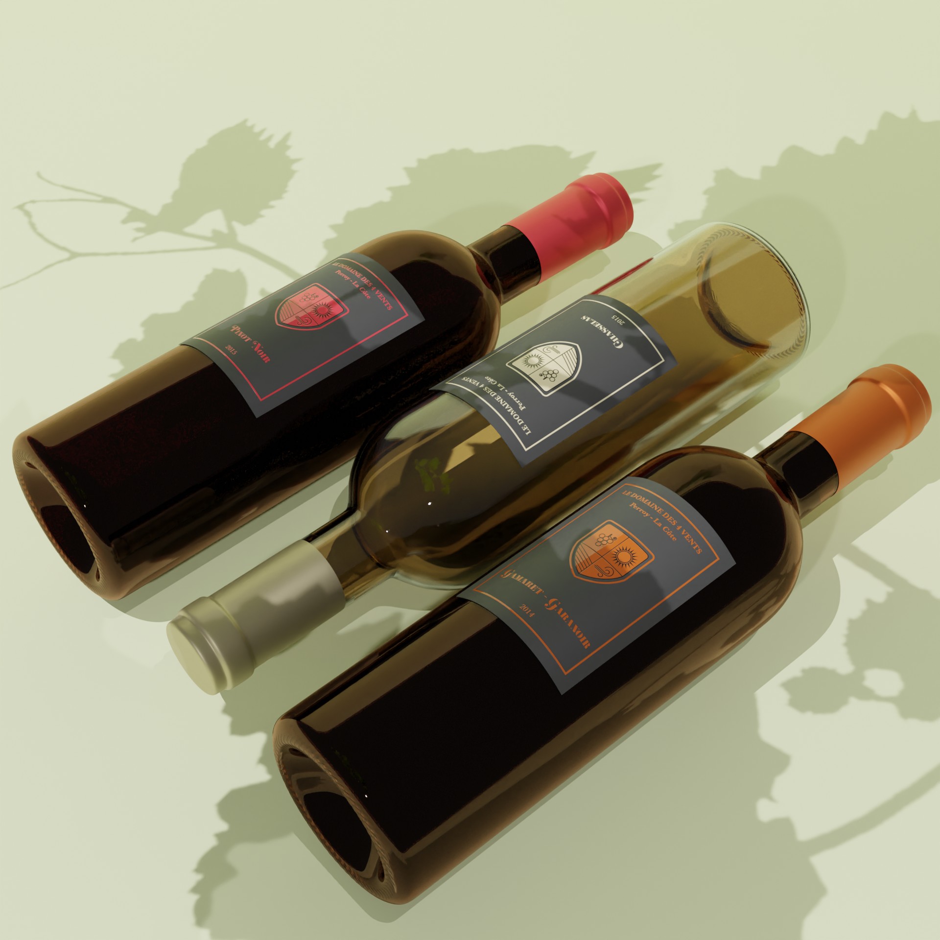 Mise en scène 3D de la gamme de vins Domaine des 4 Vents